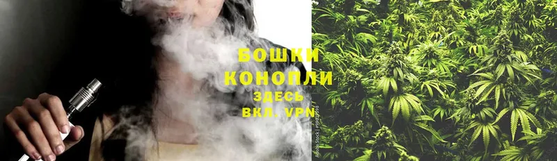 Конопля White Widow  Светогорск 